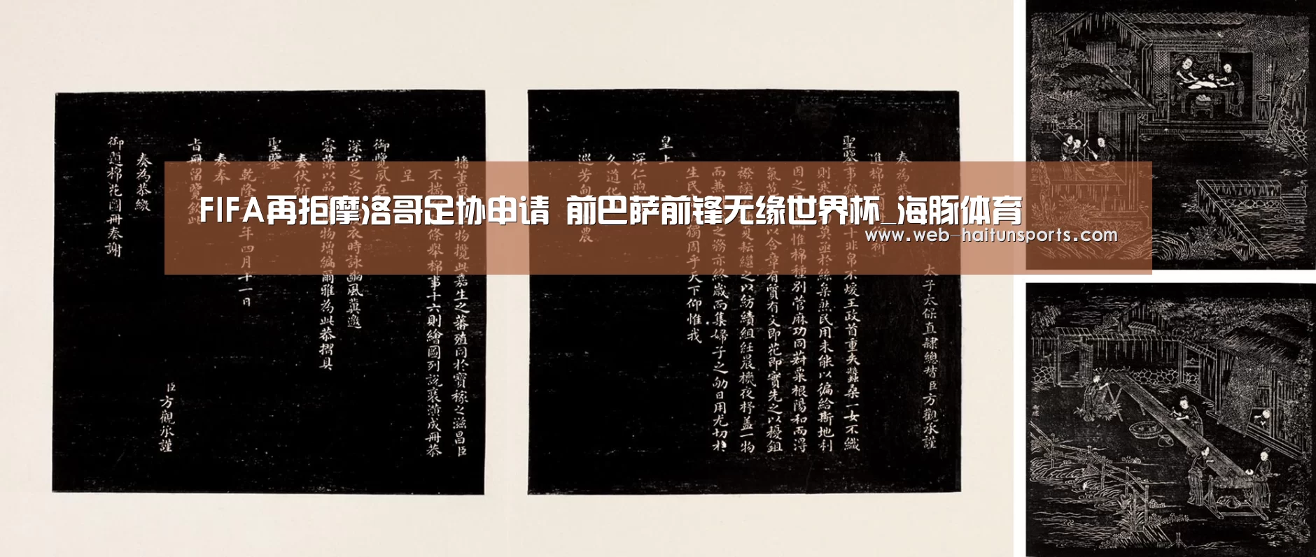 海豚体育