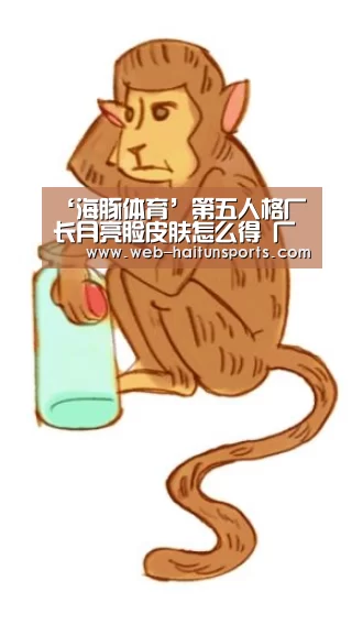 海豚体育