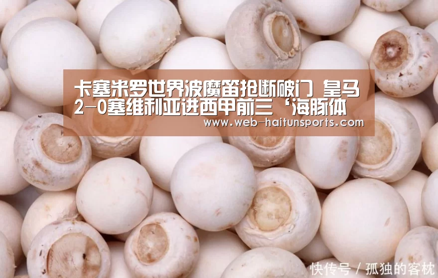 海豚体育