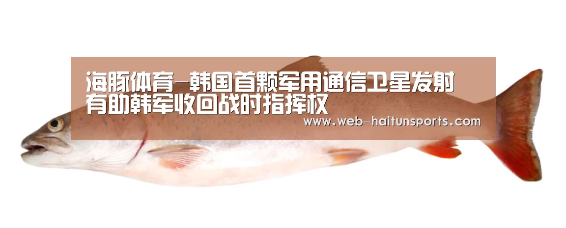 海豚体育